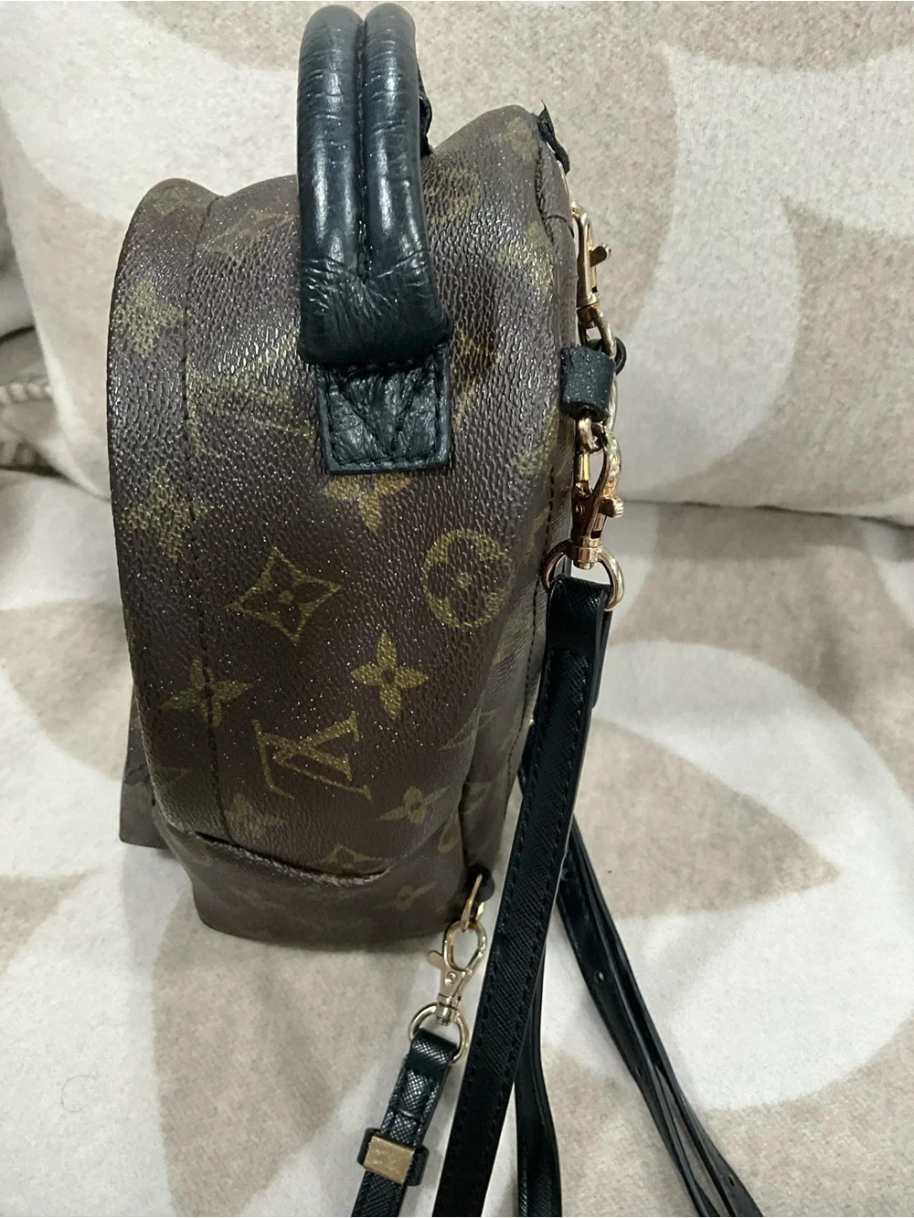 Louis Vuitton Monogram Palm Springs Backpack